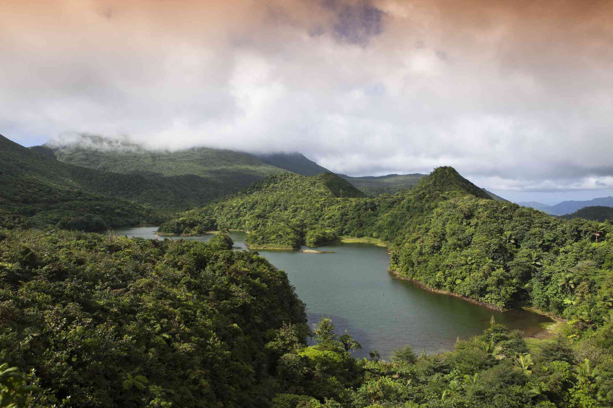 vista aérea de las verdes colinas de Dominica