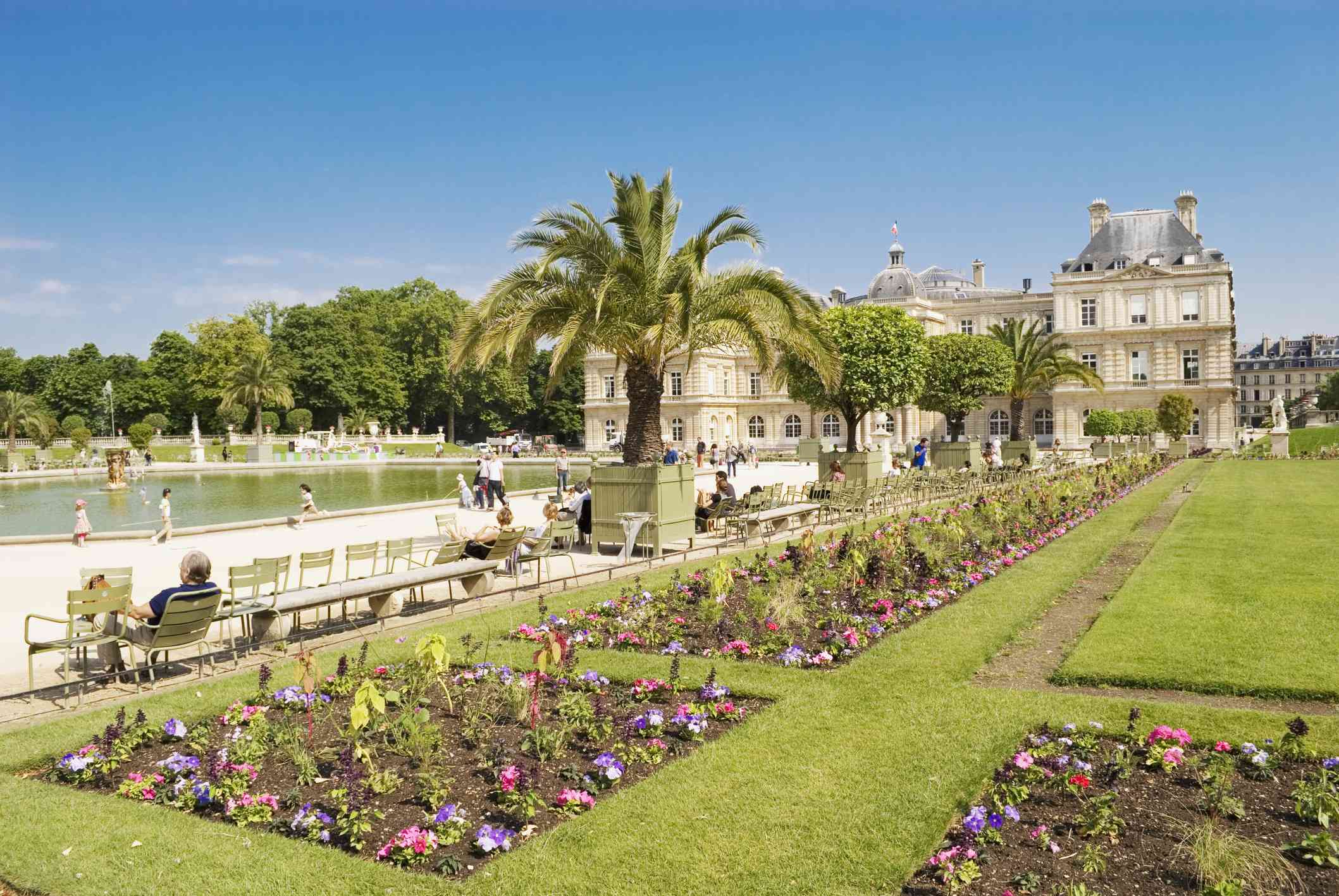 Jardines cuidados del Jardín de Luxemburgo en París con palmeras y una fuente rodeada de bancos bajo un cielo azul brillante
