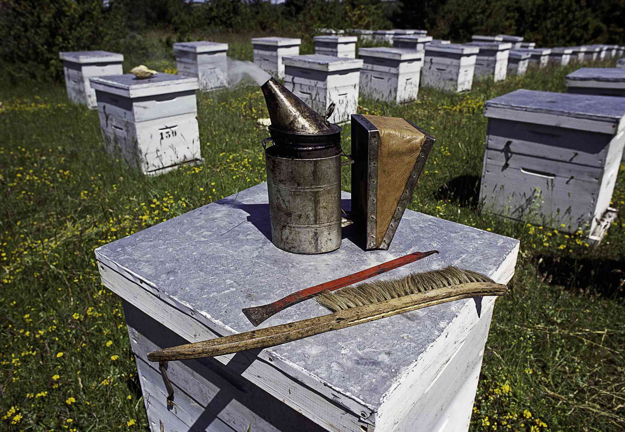 Ahumador, cepillo para abejas, herramienta para colmenas, herramientas de apicultura