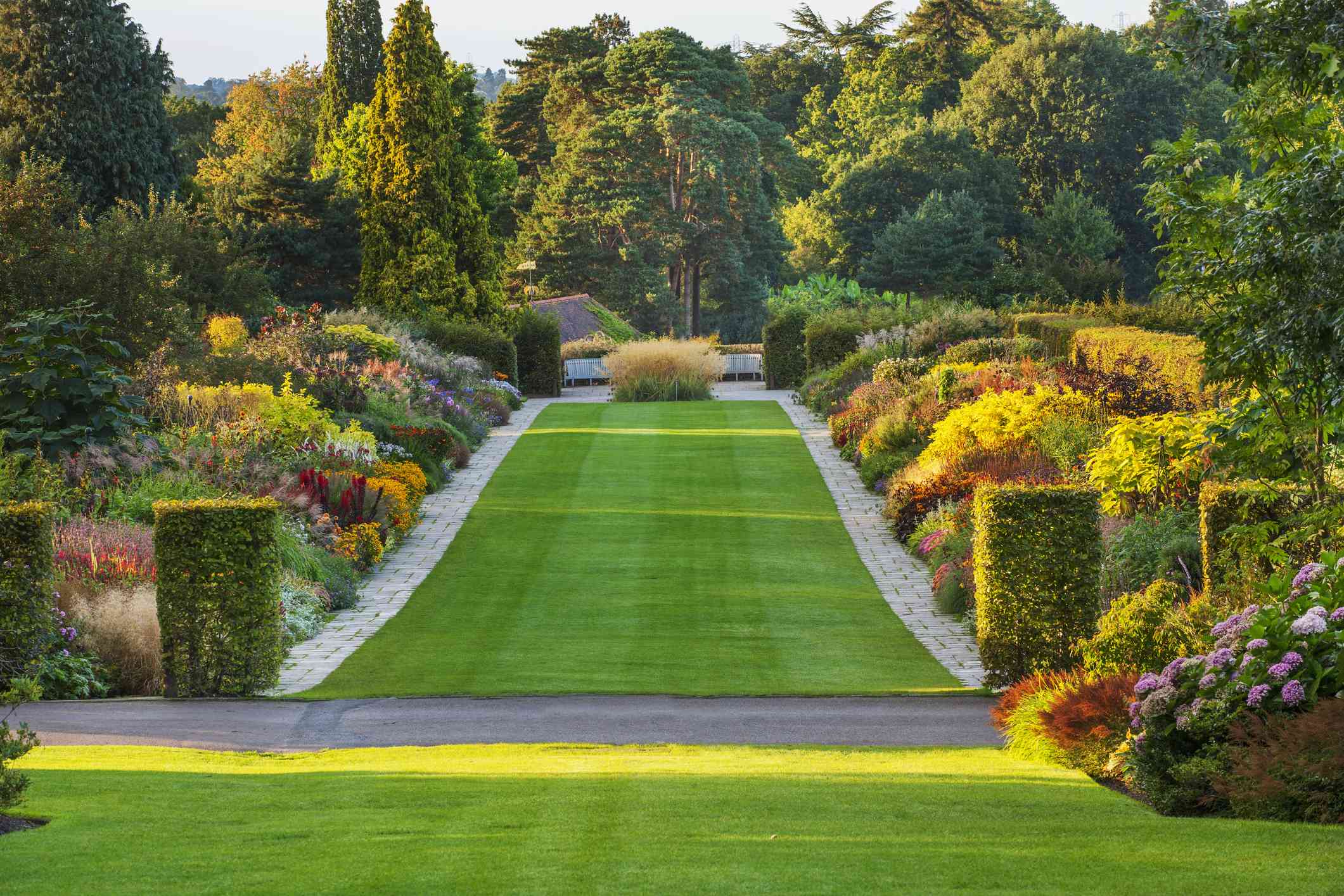 Un amplio césped verde con bordes blancos con una mezcla de coloridas plantas en flor en tonos rojos, rosas, púrpuras y amarillos a ambos lados que conducen a setos verdes más grandes en la distancia en Wisley en Surrey