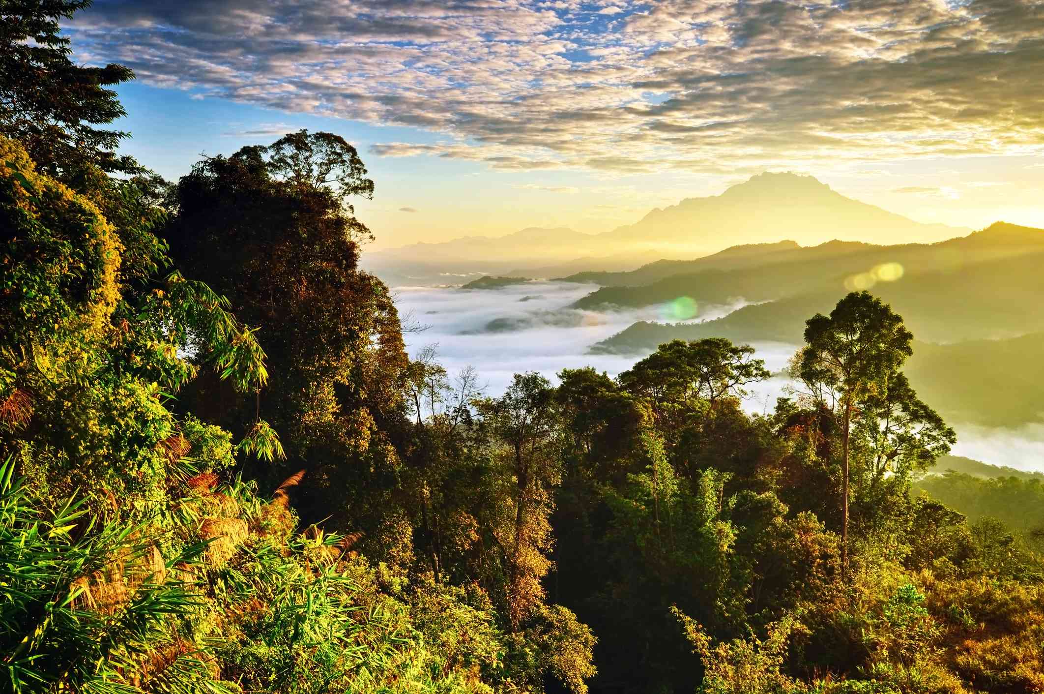 Parque Nacional de Kinabalu