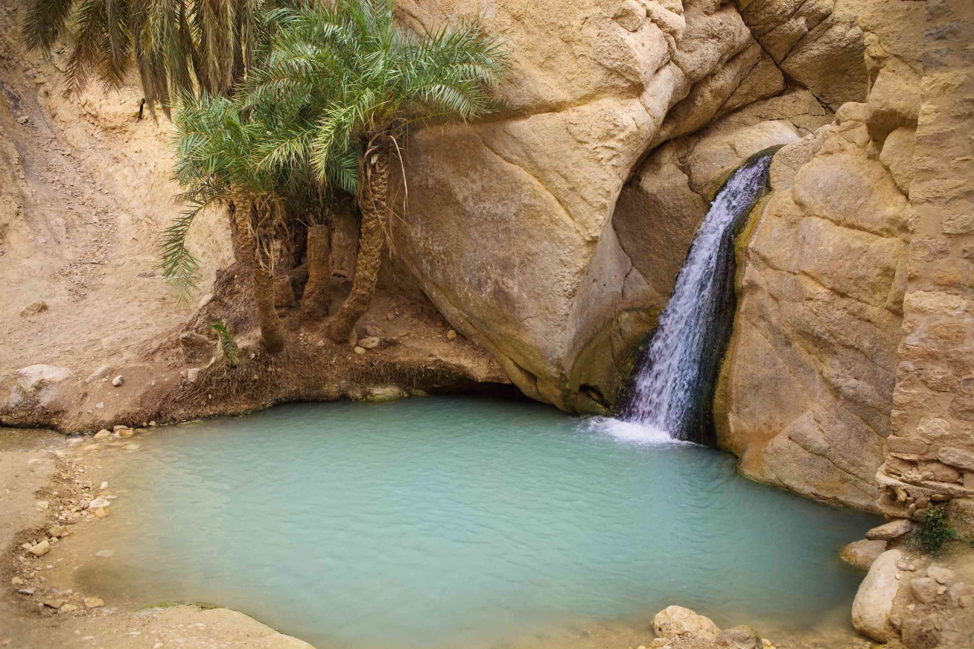 Cascada que desemboca en un estanque rodeado de rocas cortantes y palmeras en el oasis de montaña de Chebika, Túnez, África