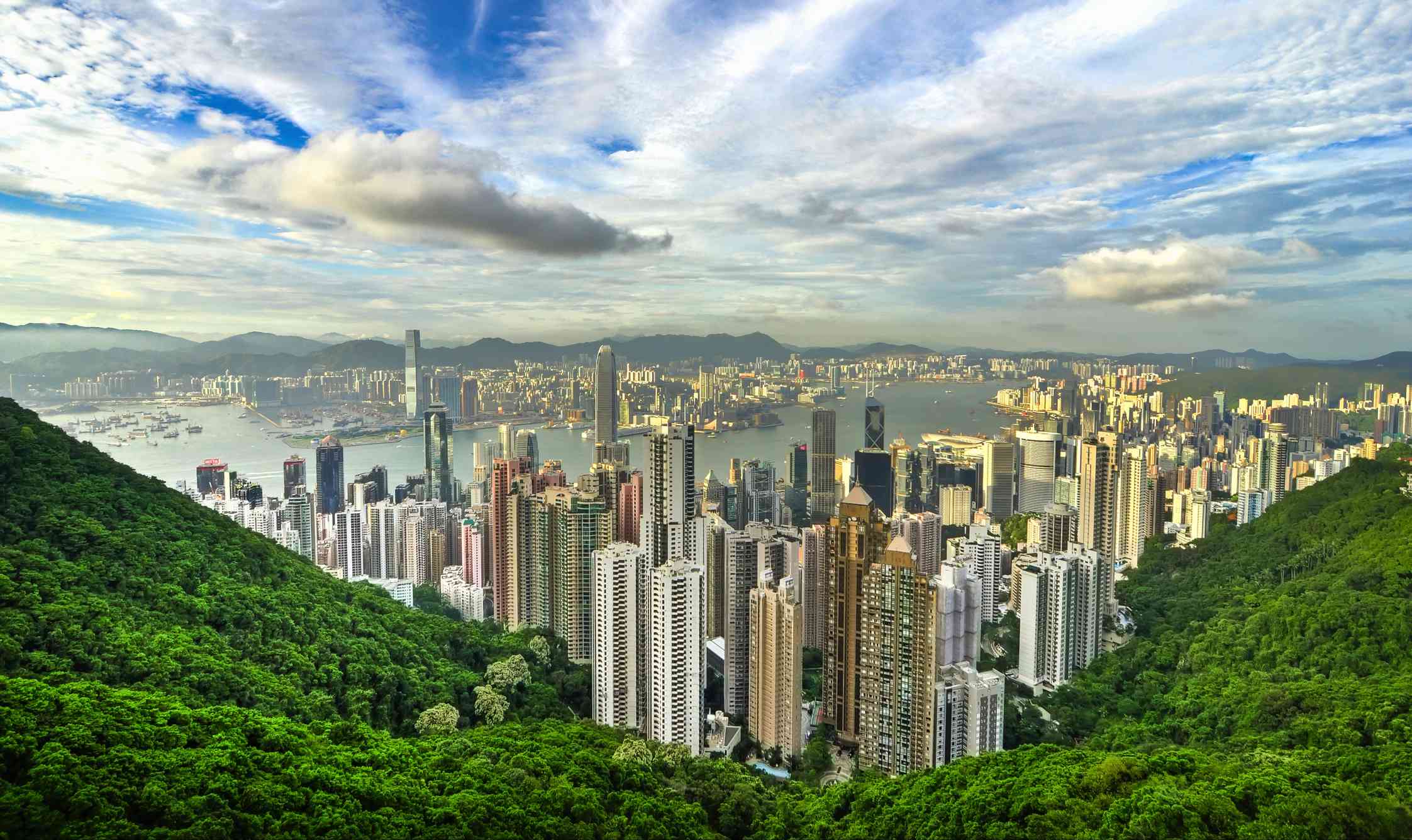 Vista desde la exuberante montaña verde, el Pico Victoria, mirando hacia abajo a los rascacielos de la ciudad de Hong Kong con un cielo azul brillante lleno de nubes blancas por encima