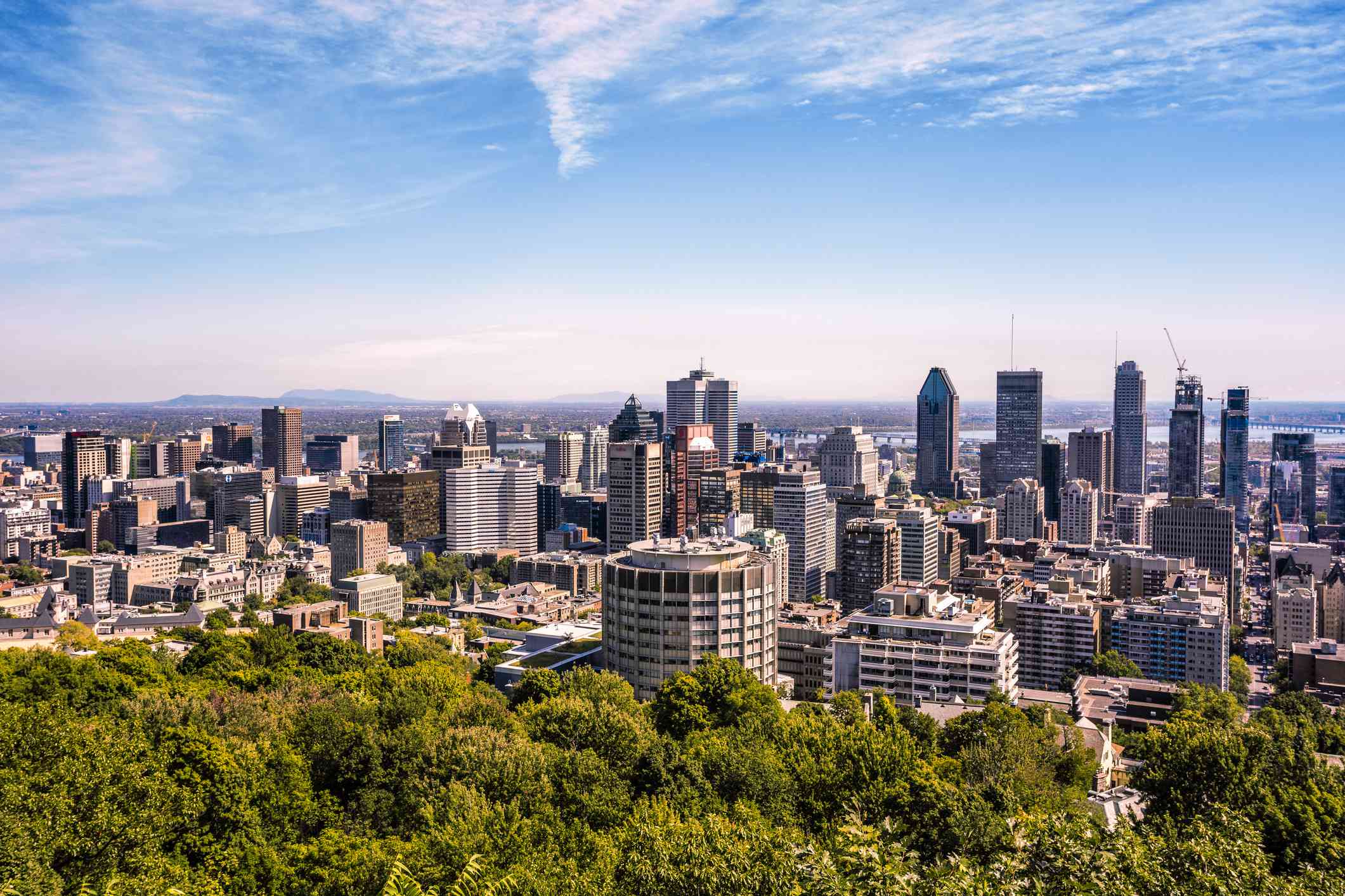 vista del centro de Montreal, los altos edificios de Canadá, los frondosos árboles verdes y el cielo azul con ligeras nubes blancas tomada desde el Monte Royal