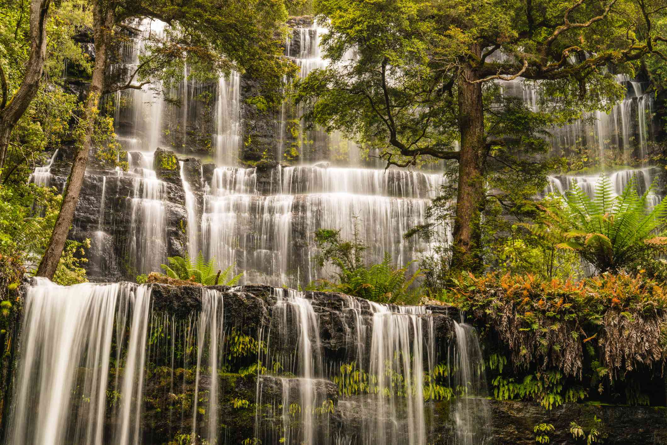 Las cataratas Russell, en Tasmania, con exuberantes plantas verdes y cascadas