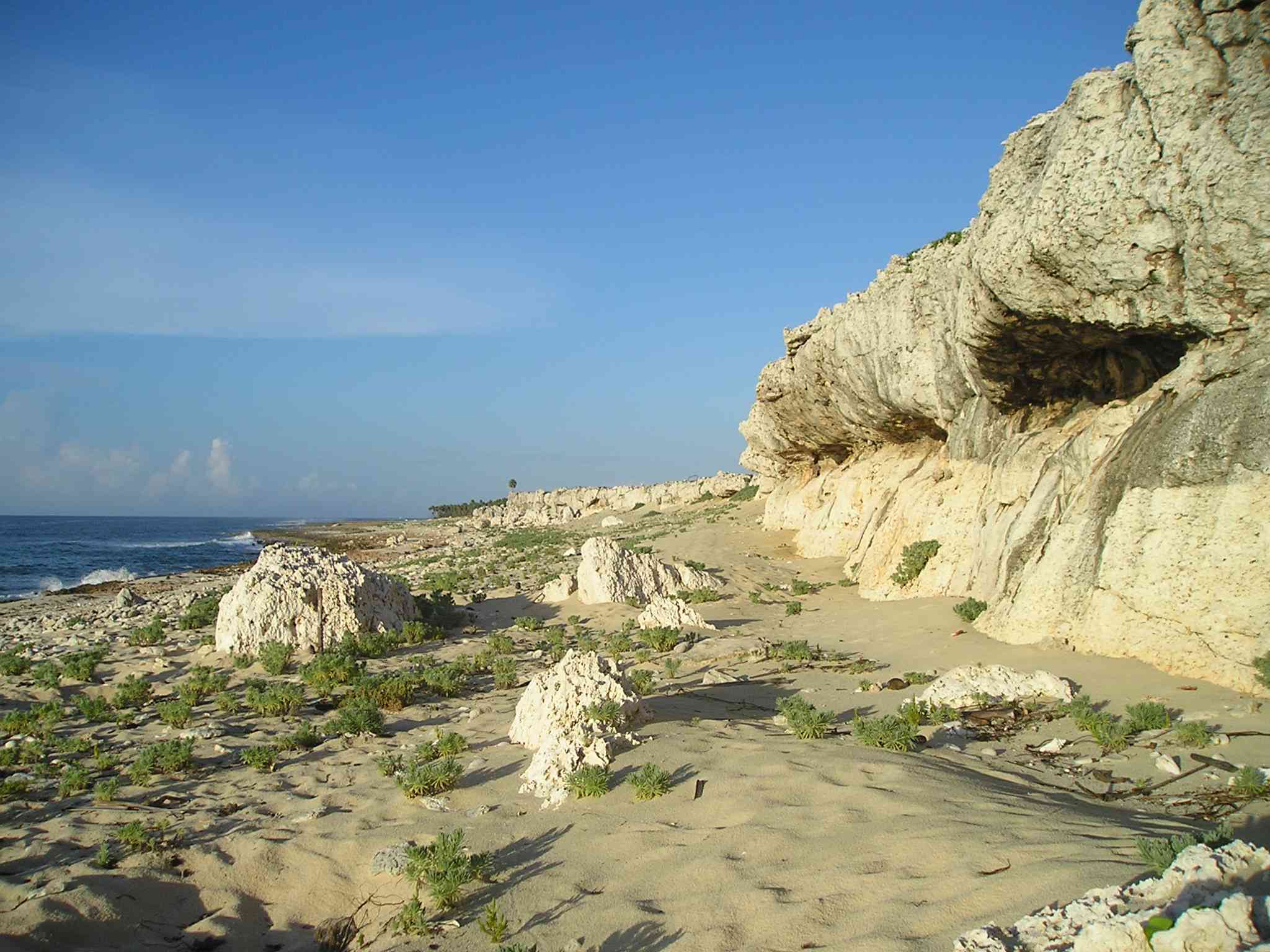 una gran formación rocosa de color crema a lo largo de una playa cubierta de tres formaciones rocosas más pequeñas en una playa cubierta de arena y algas junto a aguas azules brillantes bajo un cielo azul en el Parque Nacional de la Península de Guanahacabibes