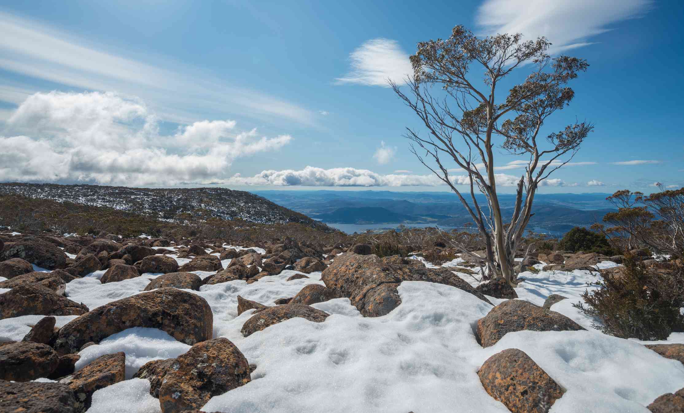 Vista desde la cima del monte Wellington cubierta parcialmente de nieve blanca y rocas con un solo árbol bajo un cielo azul soleado con algunas nubes blancas