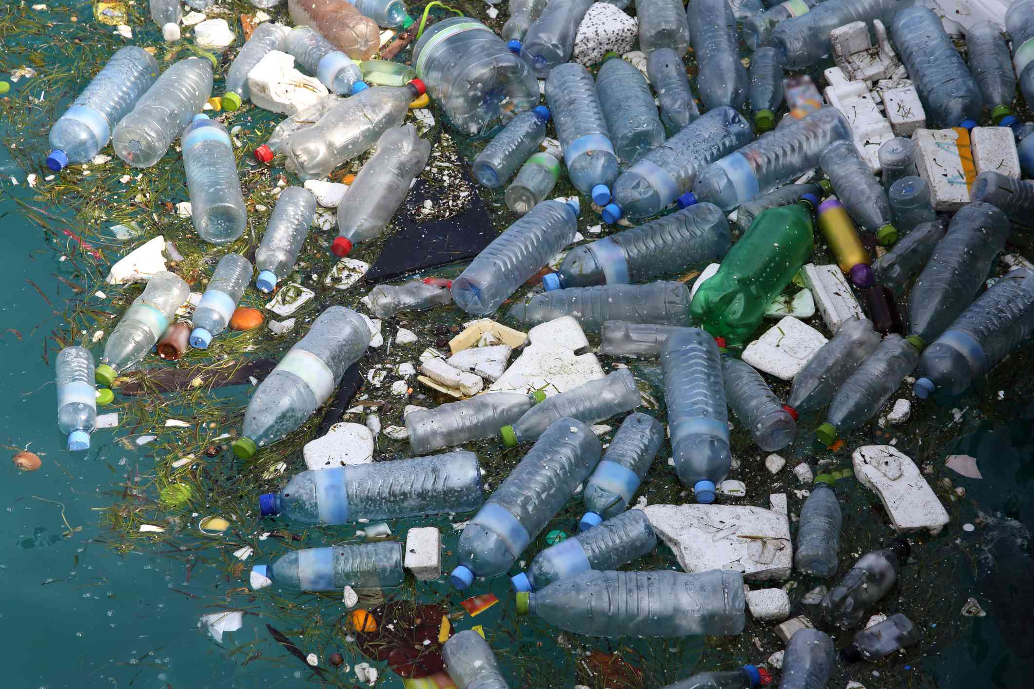 Botellas de plástico y otras basuras flotando en el océano