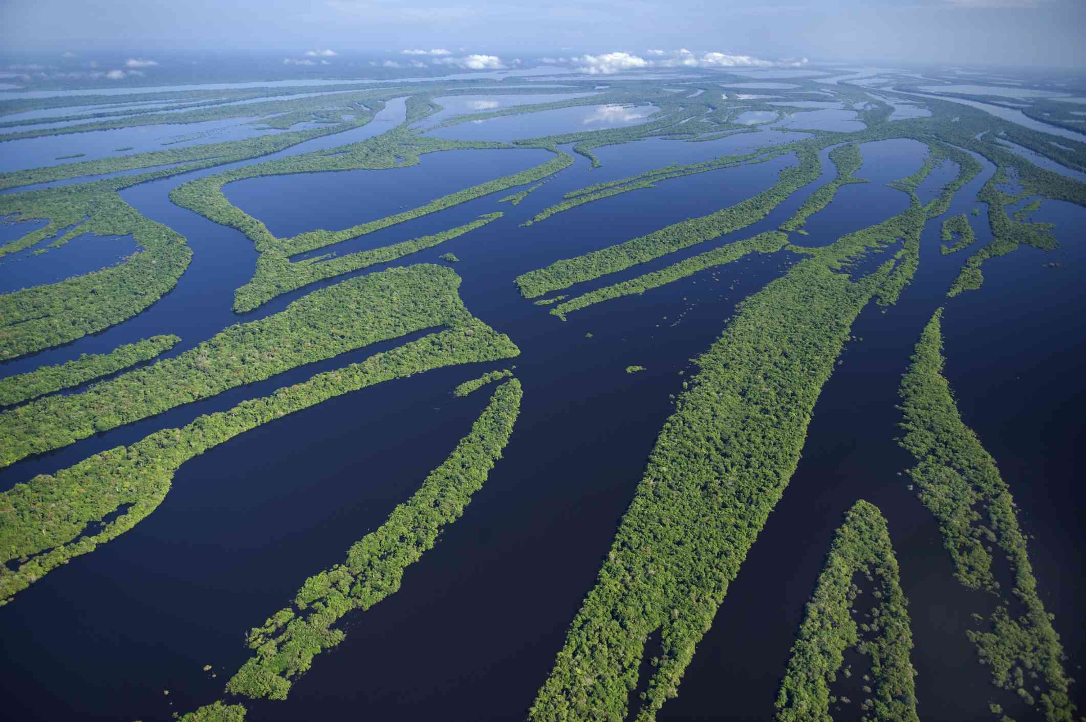 Una vista aérea del río Amazonas con los niveles de agua altos, creando islas dentro del río