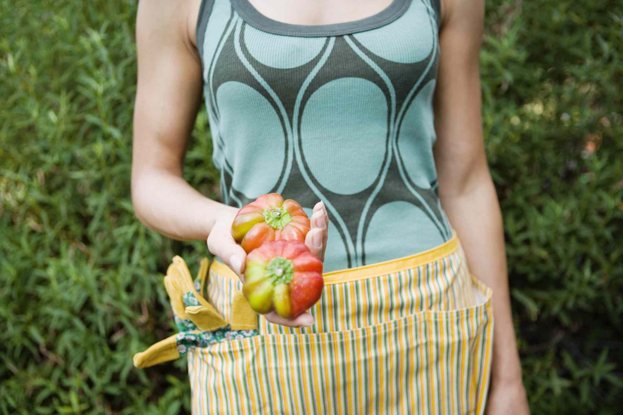 Mujer con un delantal de jardinería sujetando dos tomates