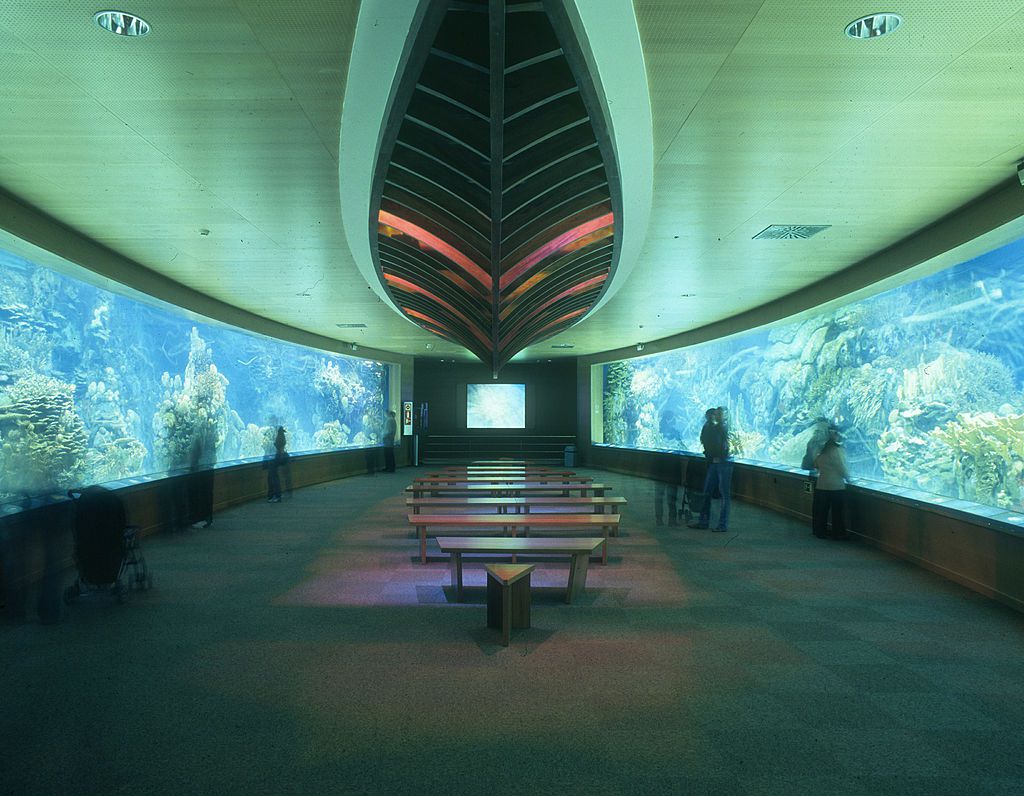Una gran sala de L'Oceanografic con tanques de acuario a ambos lados llenos de peces y plantas submarinas