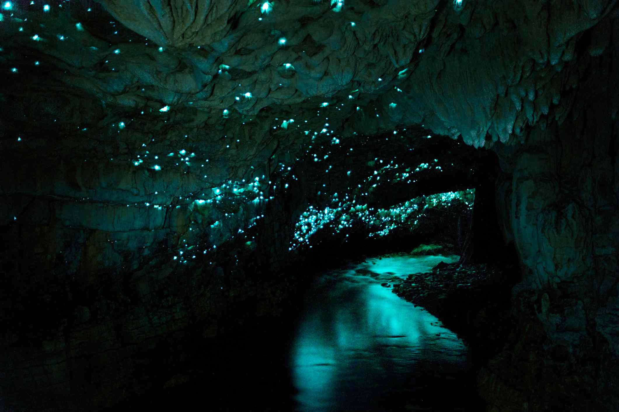 Pequeñas luces verdes creadas por los gusanos de las cuevas que iluminan la oscuridad de la Cueva de la Lombriz de Waitomo