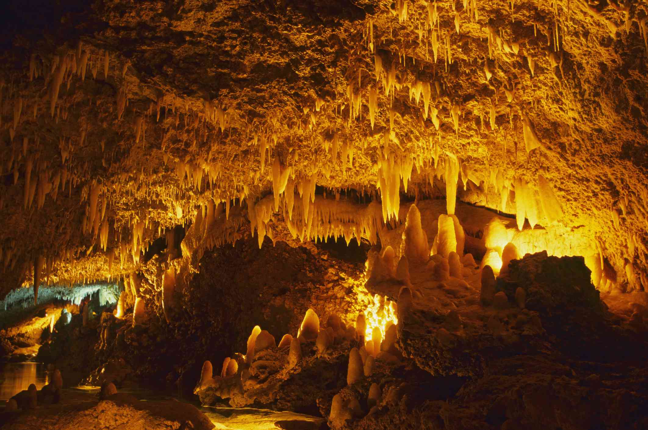 Vista del interior de la Cueva de Harrison con una estalactita iluminada colgando del techo