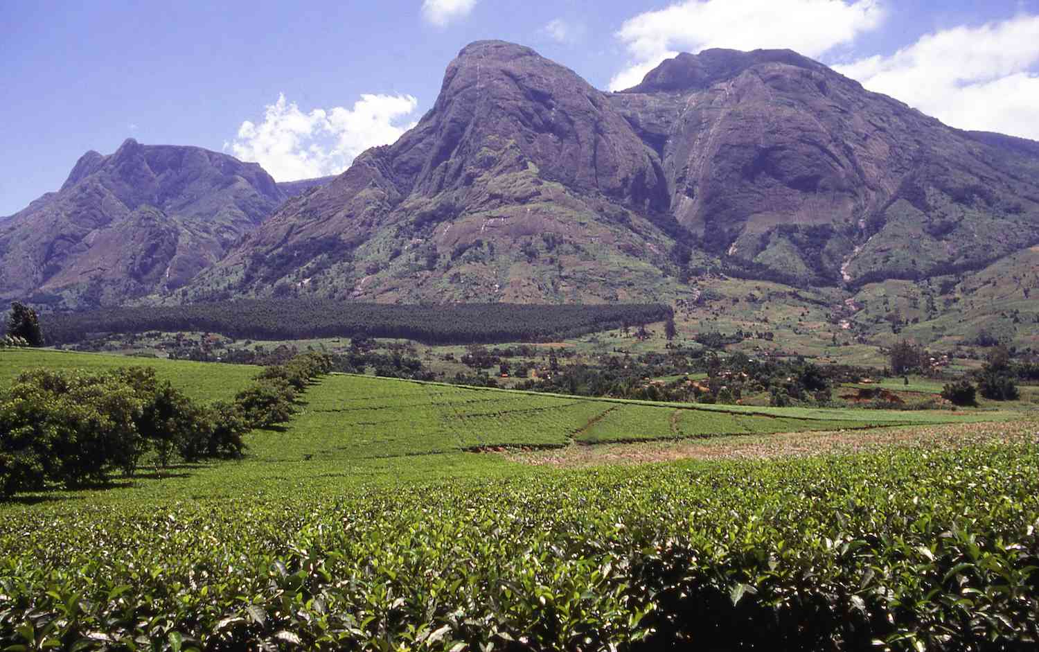 El macizo de Mulanje se eleva sobre los campos de té de Malawi