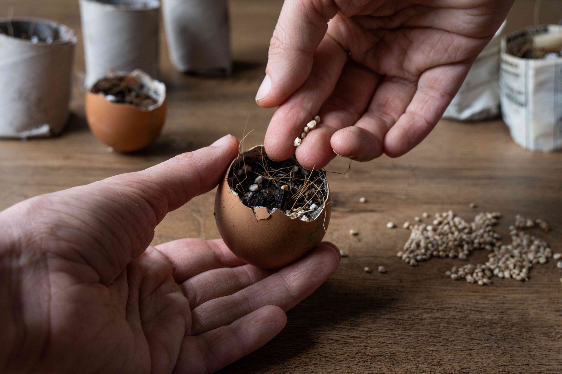 foto de cerca de unas manos construyendo un semillero en una cáscara de huevo vacía con tierra y semillas