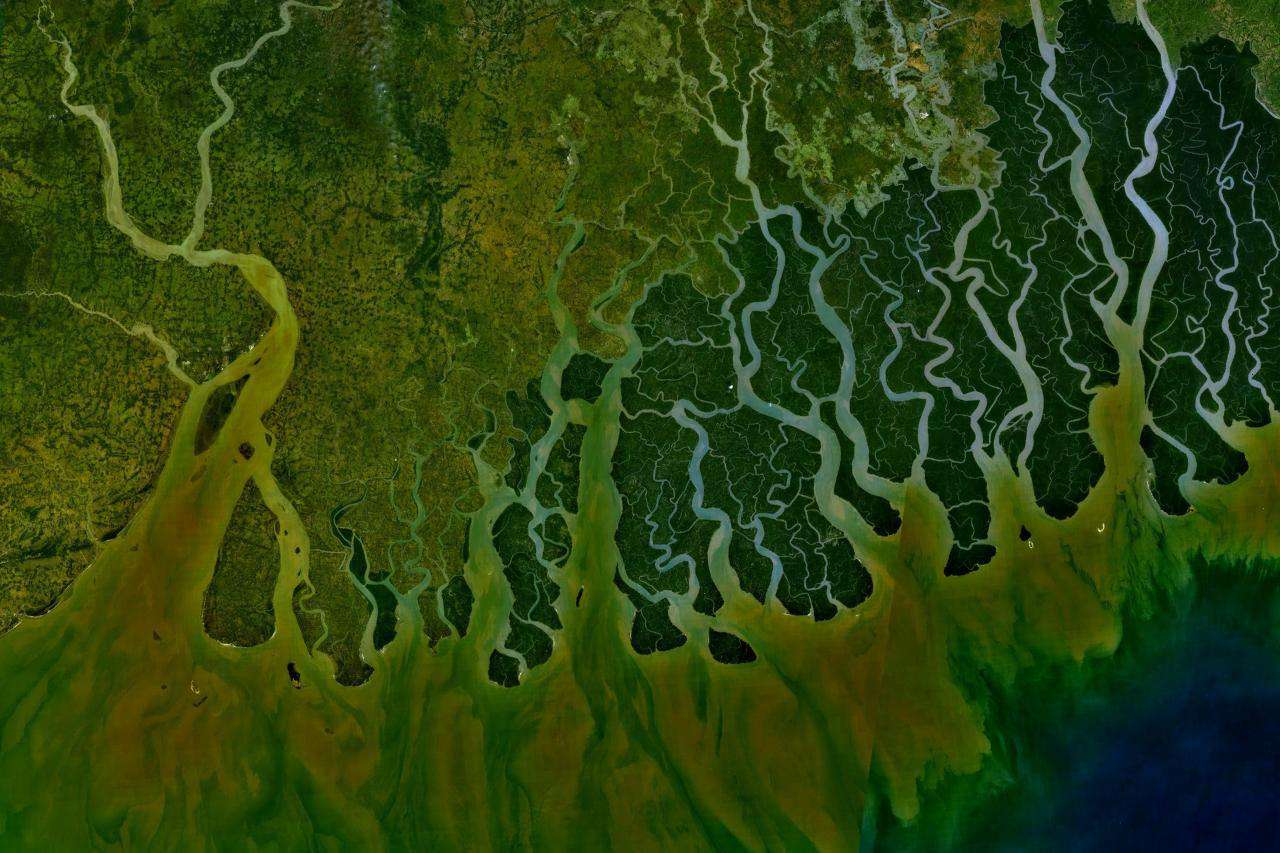 Vista por satélite del delta del río Ganges en la India