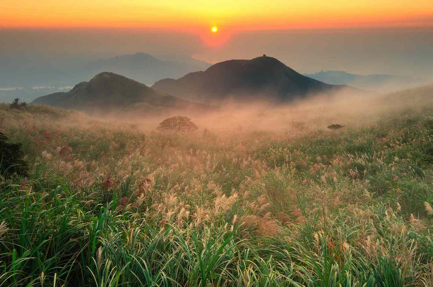 Amanecer en la Montaña de las Siete Estrellas del Parque Nacional de Yangmingshan