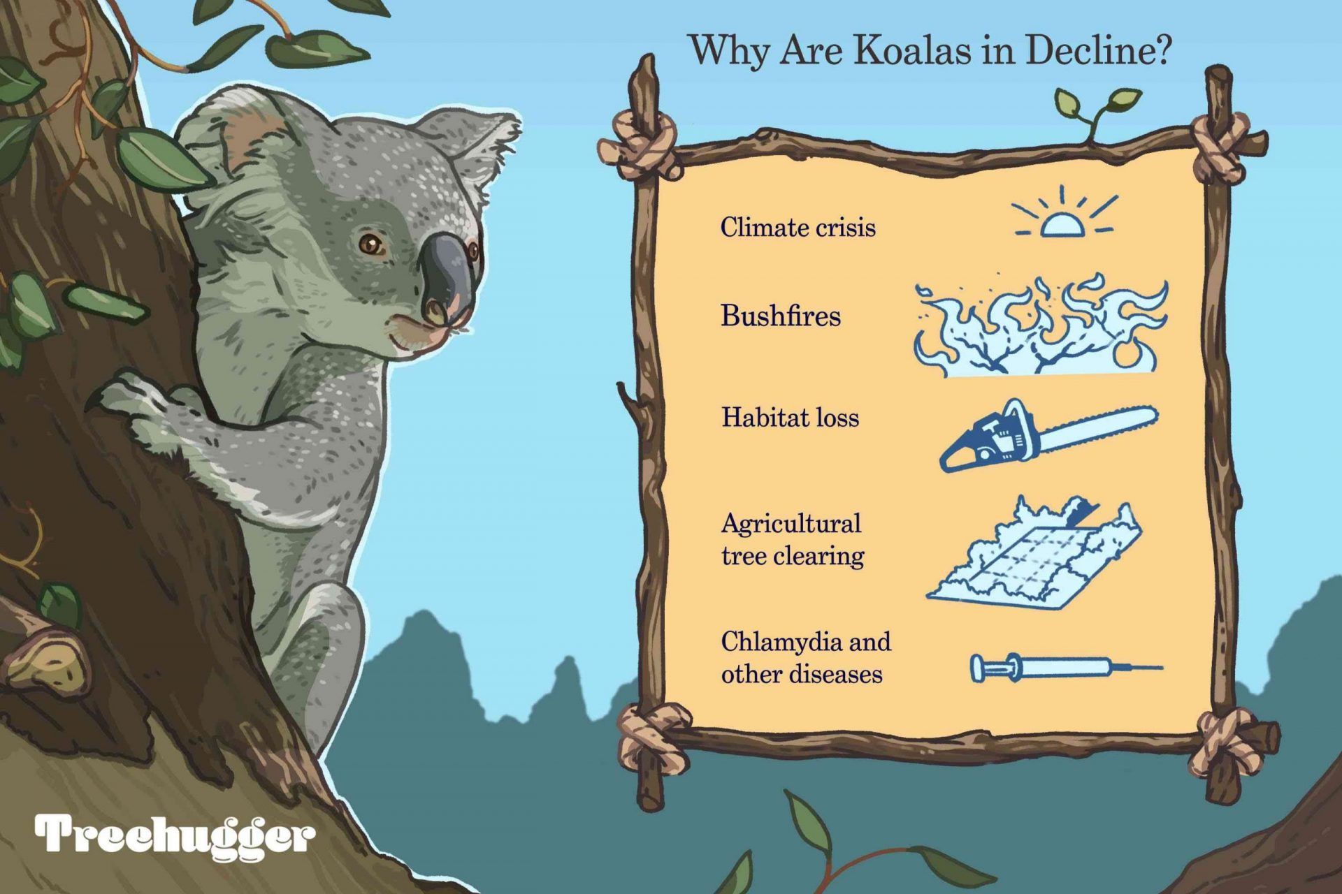 Por qué están disminuyendo los koalas gif ilustrado