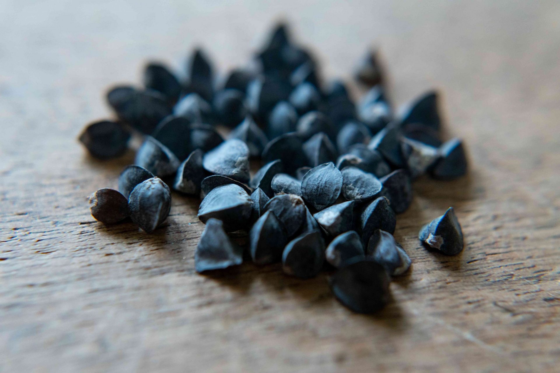 primer plano de semillas de trigo sarraceno negro sobre la mesa