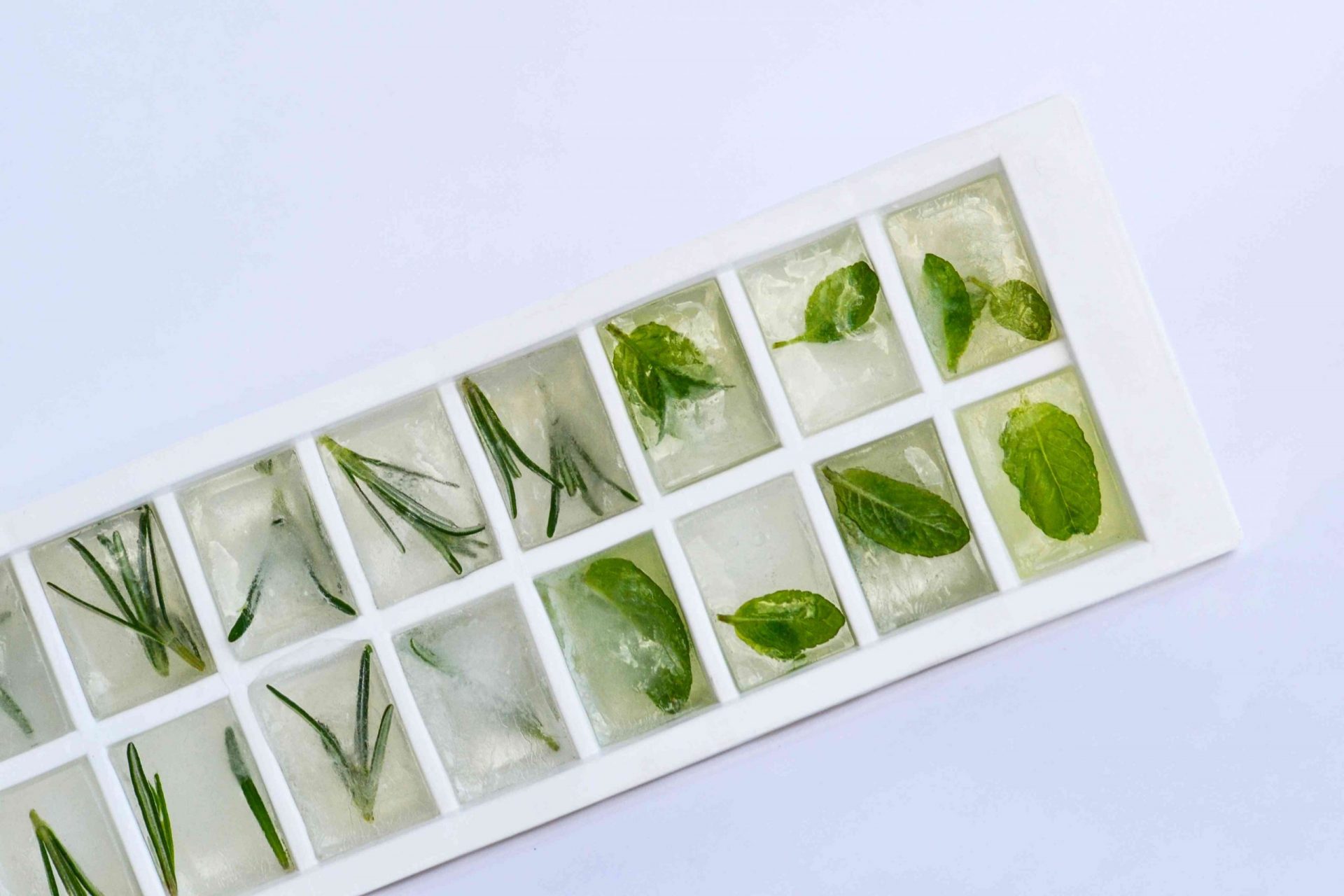 Primer plano de cubitos de hielo de hierbas en una bandeja con fondo blanco
