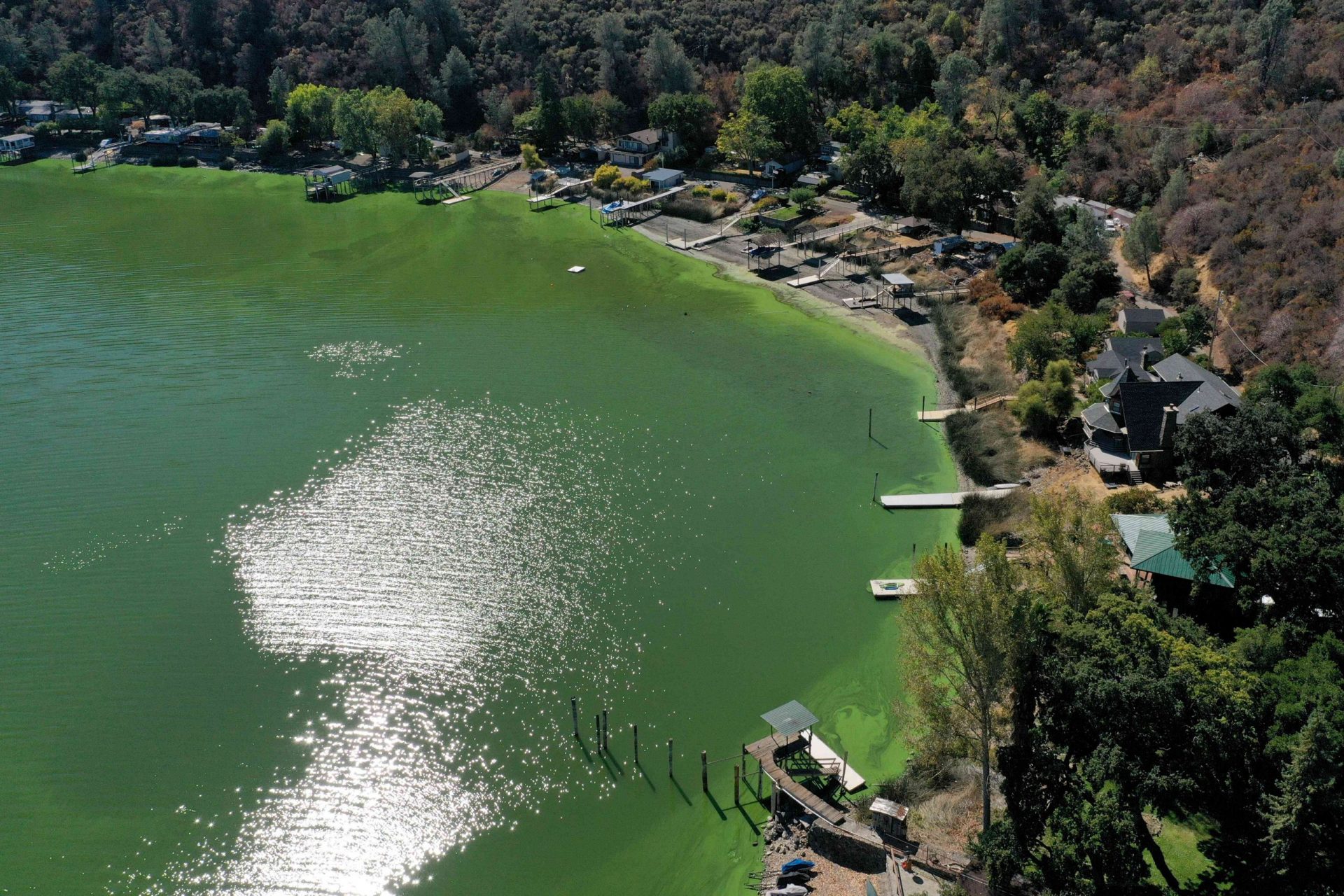 El brote de cianotoxinas debido al verano seco y caluroso amenaza el suministro de agua en Clear Lake, California