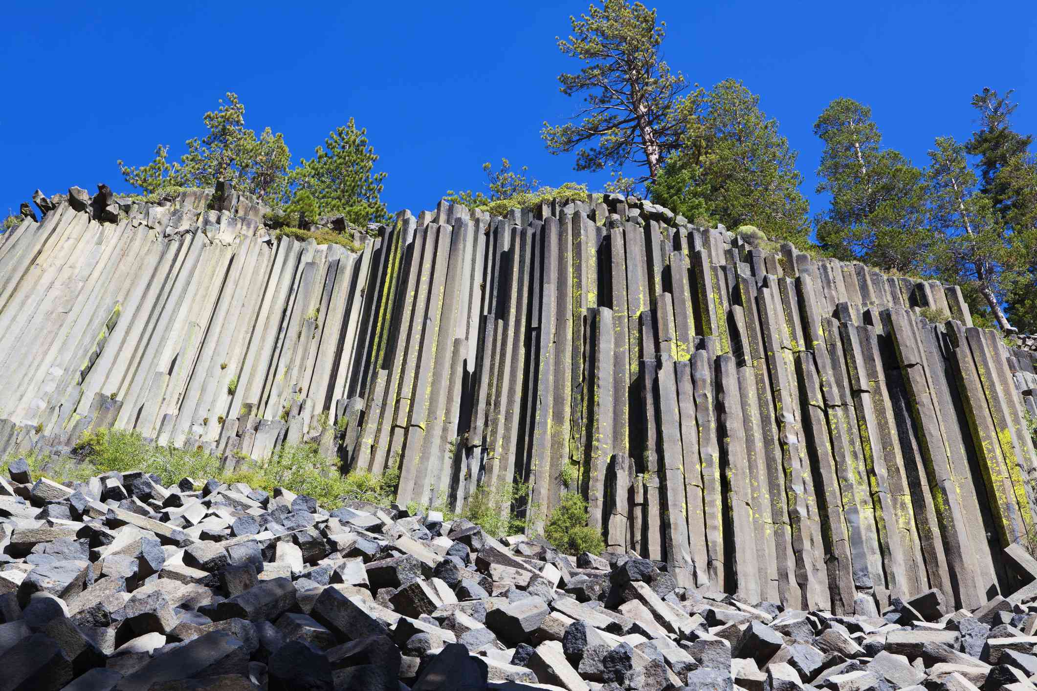 Vista de ángulo bajo de la formación de acantilados de basalto columnares coronados por árboles