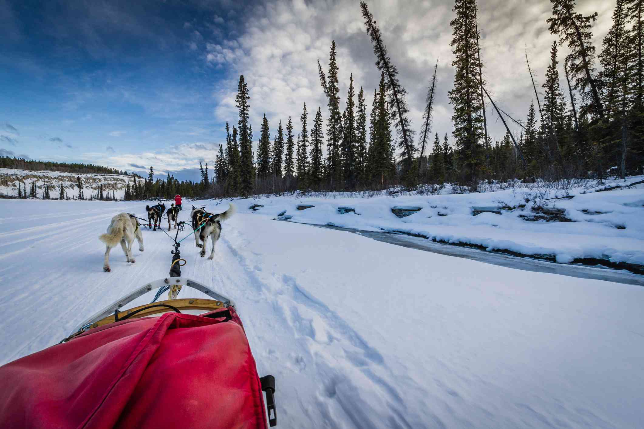 Equipo de trineos tirados por perros atravesando un paisaje invernal, Yukón, Canadá
