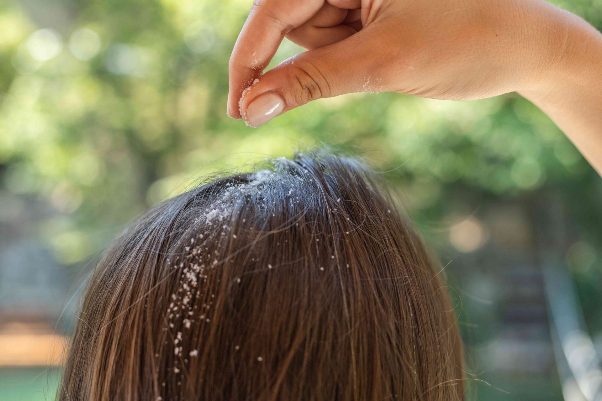 la mano espolvorea maicena en las raíces del pelo para absorber la grasa y el aceite del cuero cabelludo