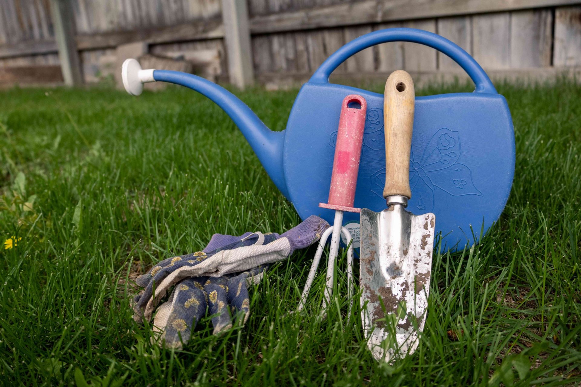 variedad de herramientas de jardinería en el patio trasero: regadera, guantes, paleta, comedero