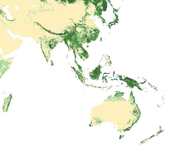 Bosques de Asia Oriental y el Pacífico