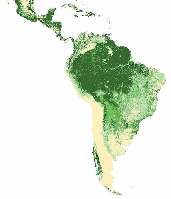 Bosques de América Latina y el Caribe