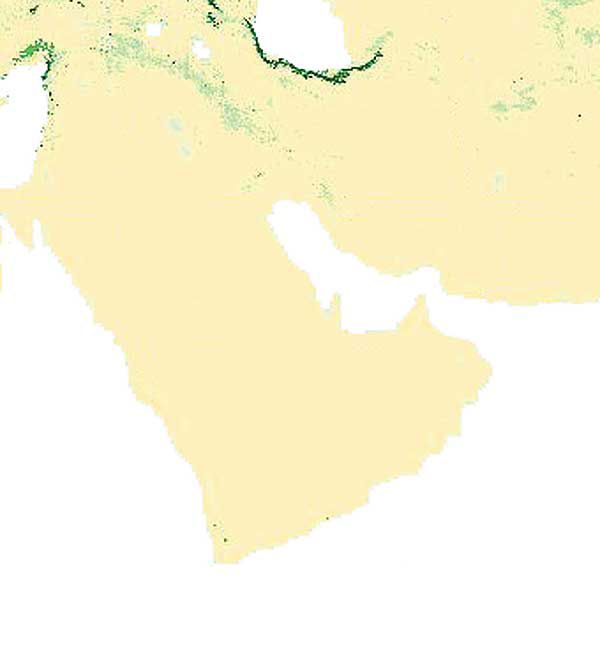 mapa de la cubierta forestal de Asia occidental