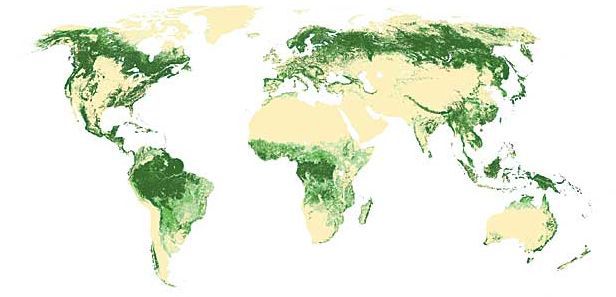 Mapa de los bosques del mundo