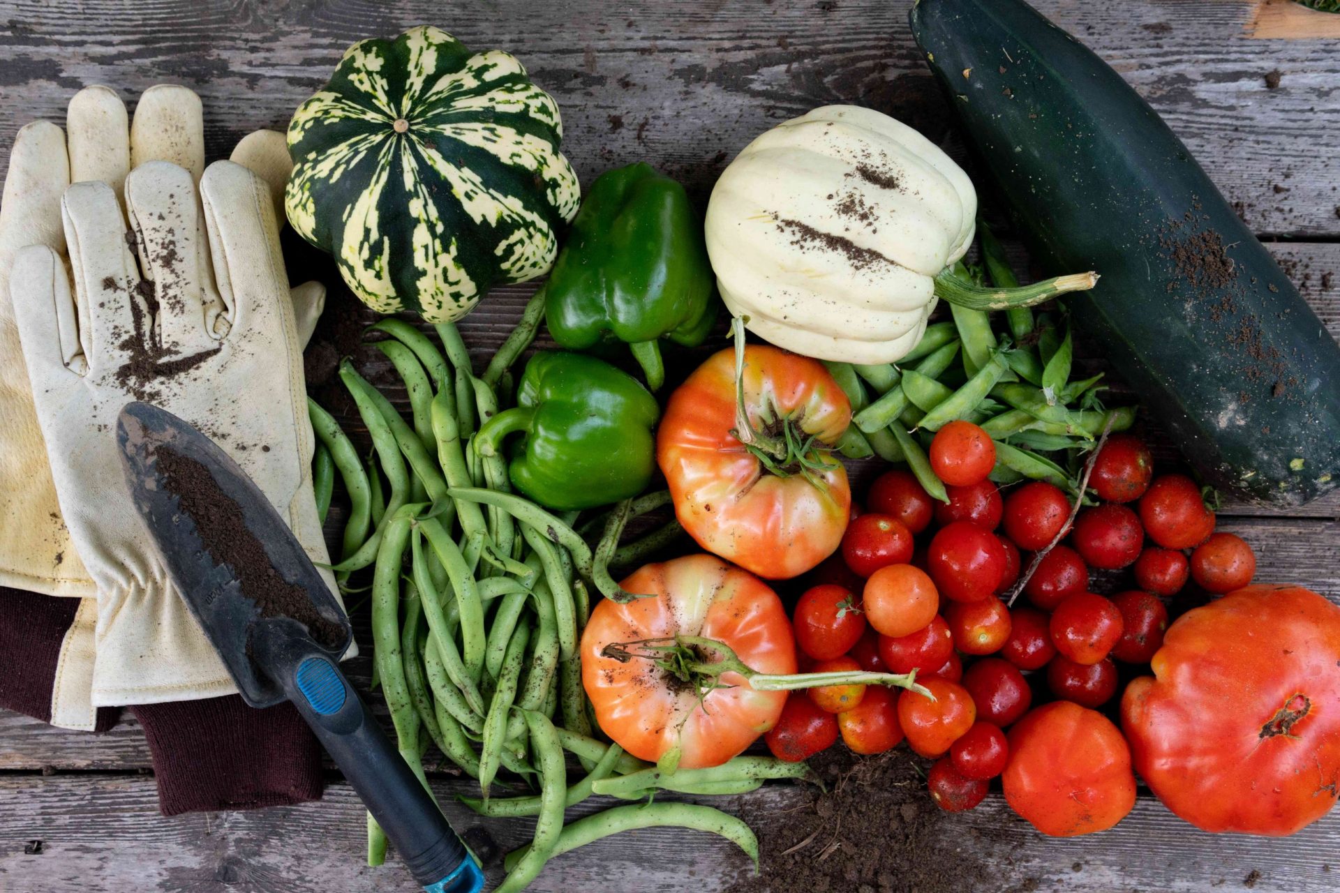 imagen aérea de hortalizas y herramientas de jardín