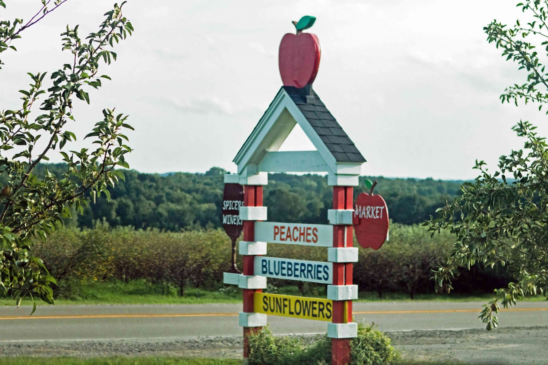 cartel de madera casero de la granja que vende melocotones, arándanos y girasoles