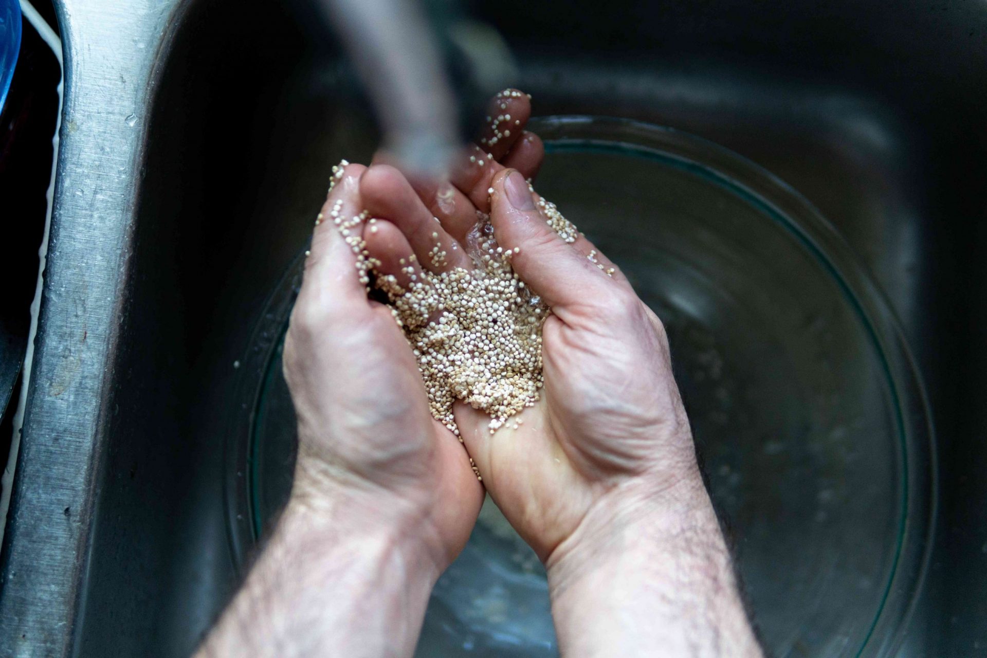 manos lavan las semillas en el fregadero