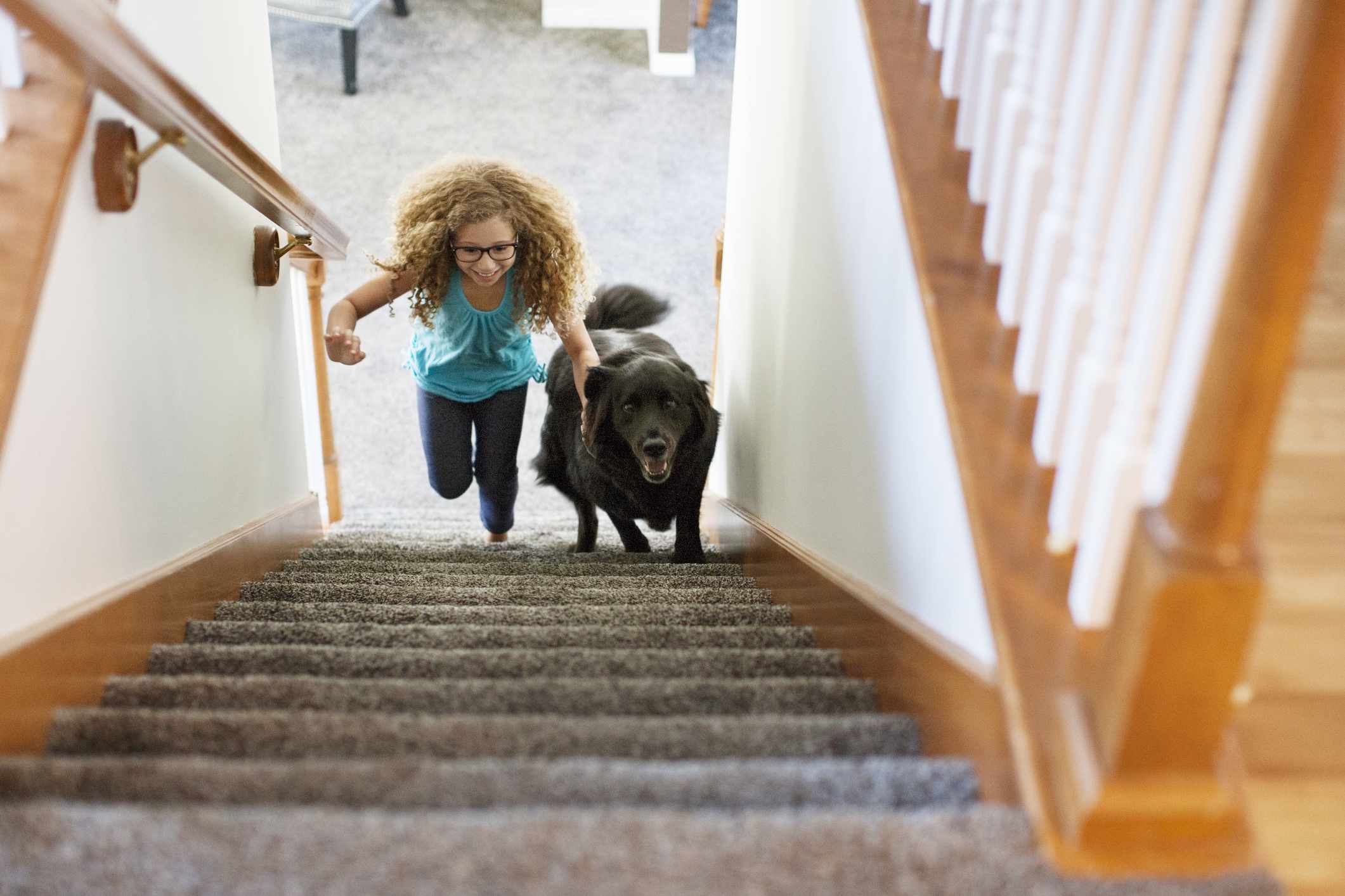 Vista en ángulo alto de la niña y el perro subiendo las escaleras