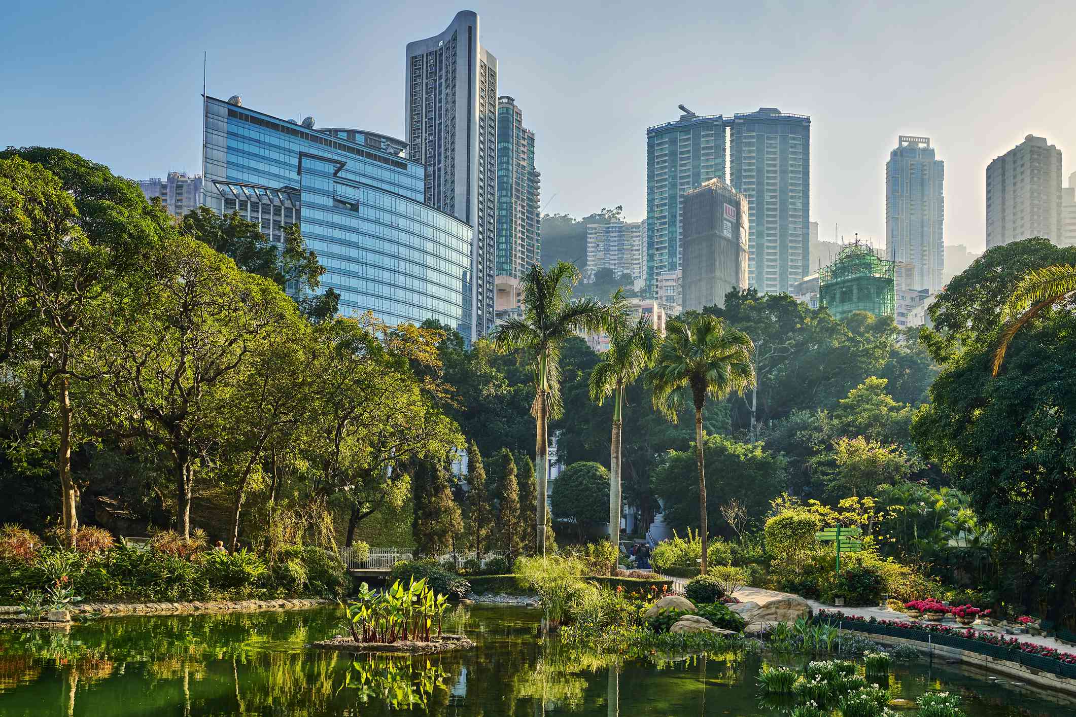 Exuberante parque y estanque con el horizonte de Hong Kong al fondo