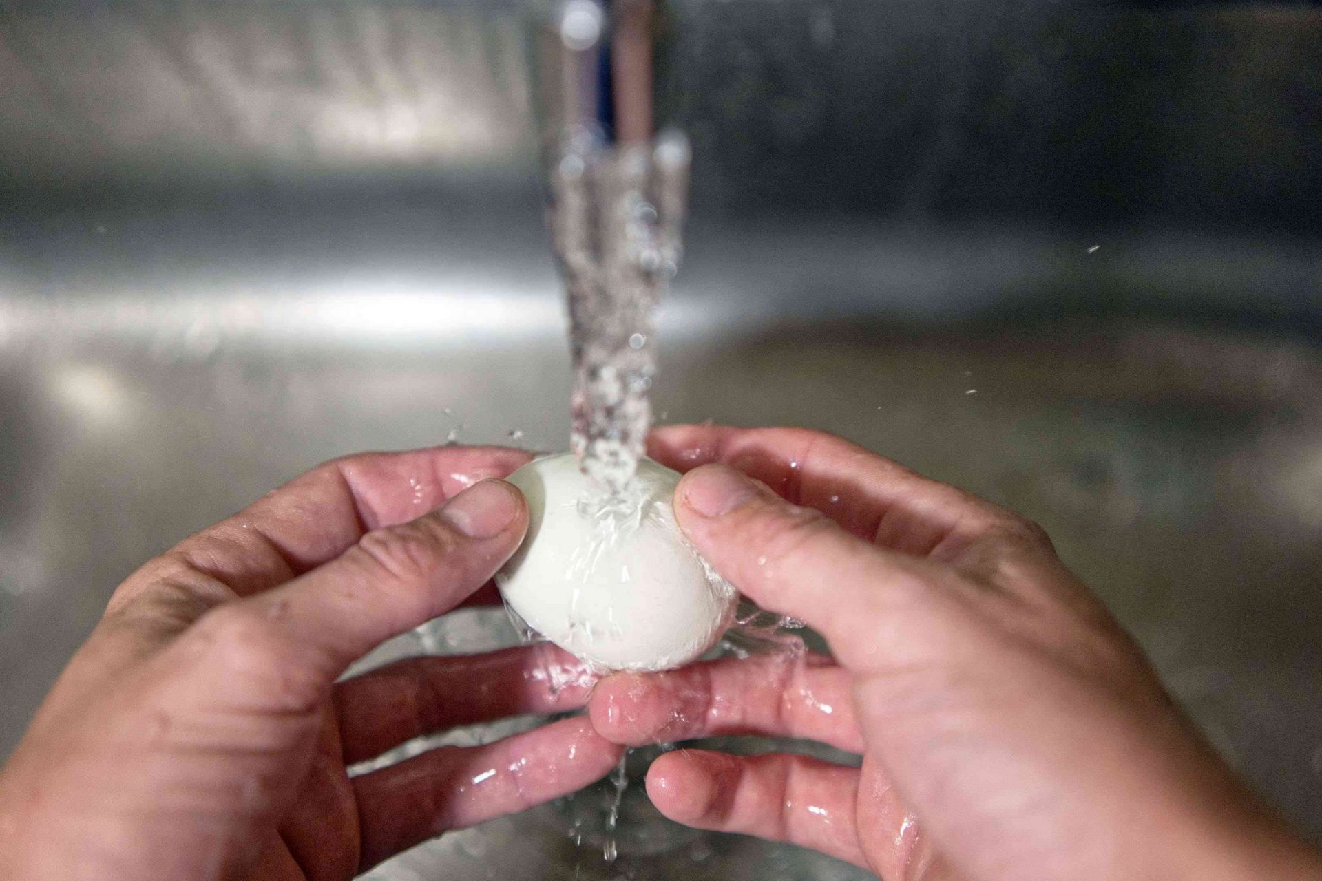 dos manos lavan el huevo fresco en un fregadero de acero bajo el grifo