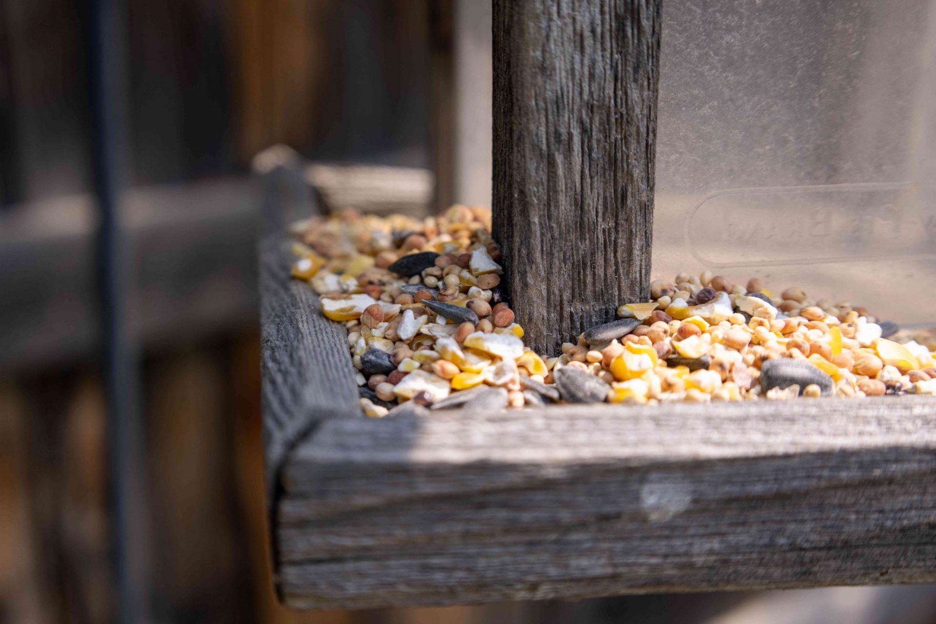 un comedero de madera para pájaros lleno de semillas y pipas de girasol fuera de casa