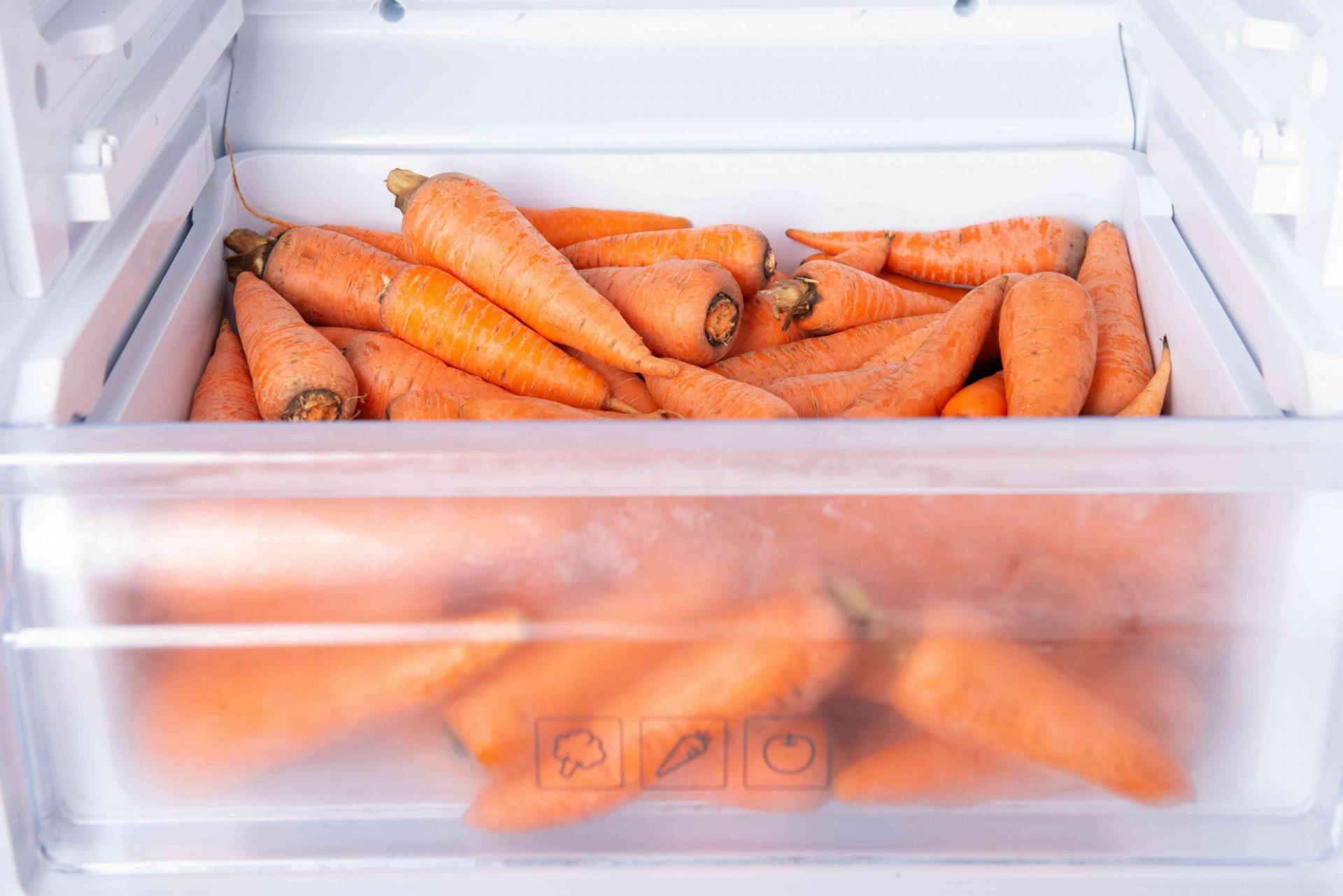 zanahorias cosechadas y guardadas en un cajón de la nevera
