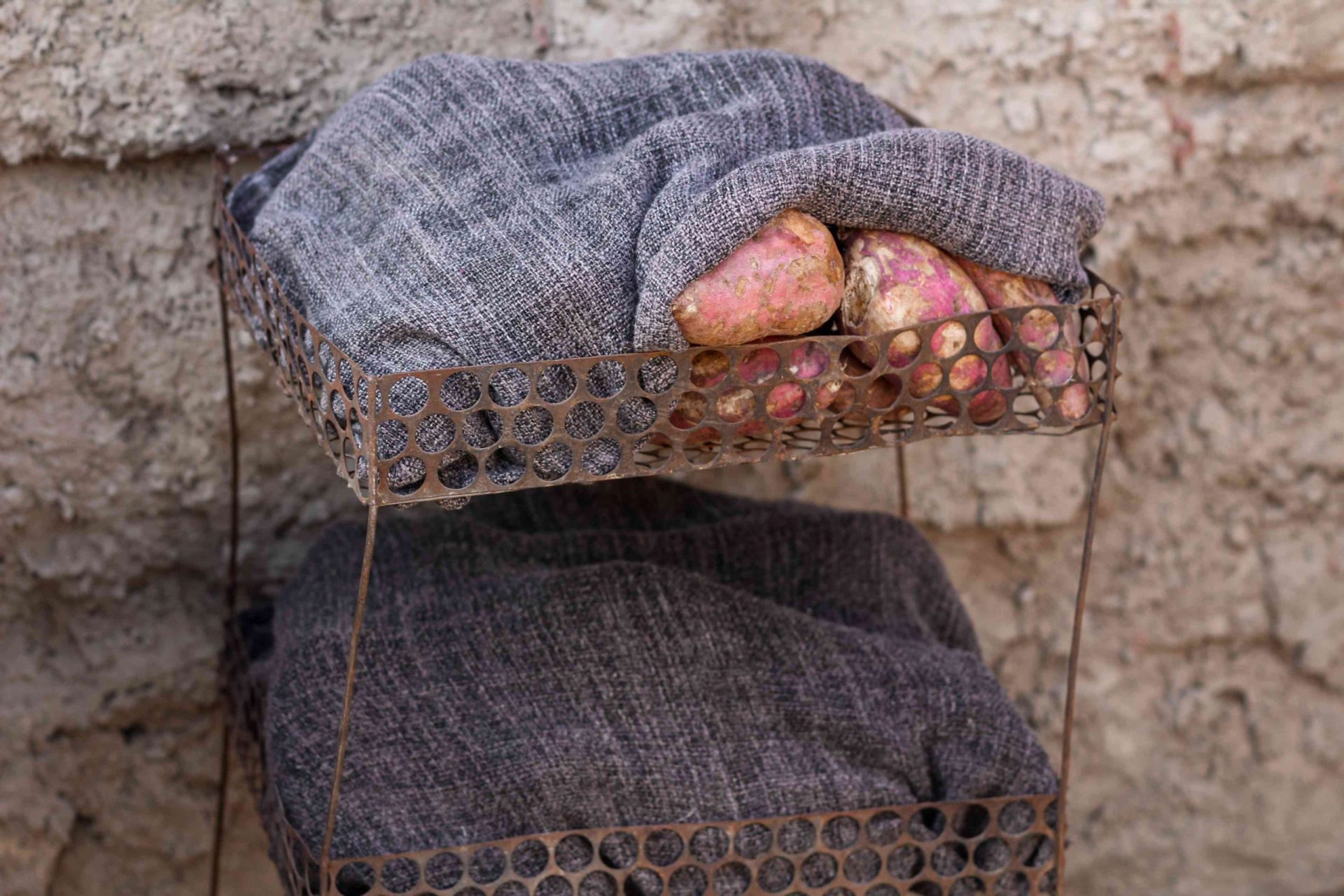 batatas almacenadas y curadas bajo una tela pesada en el exterior, cerca de un muro de piedra