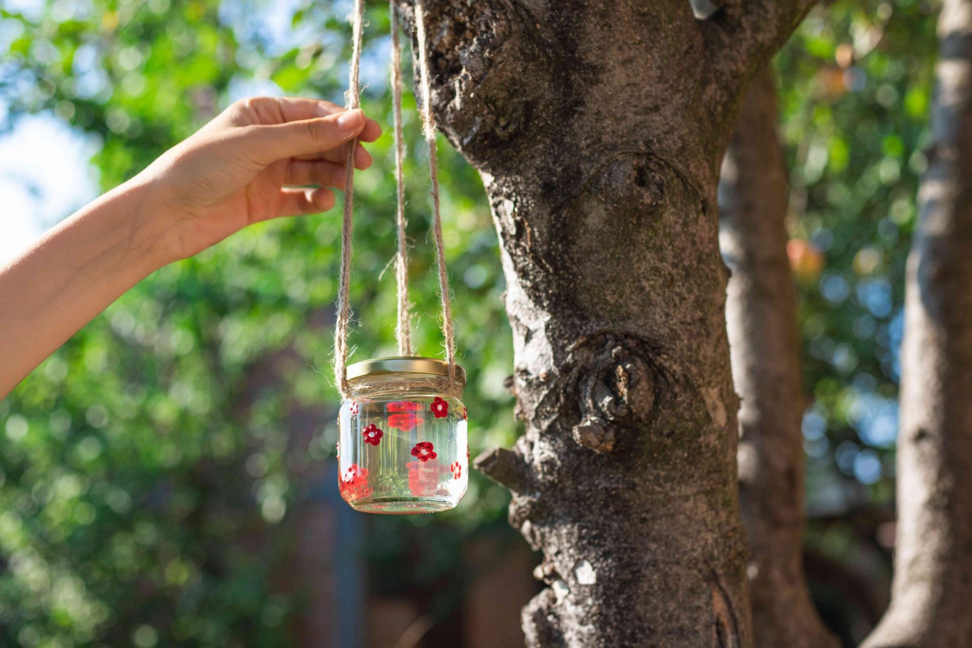 manos cuelgan el alimentador de colibríes diy con hilo en el árbol por fuera