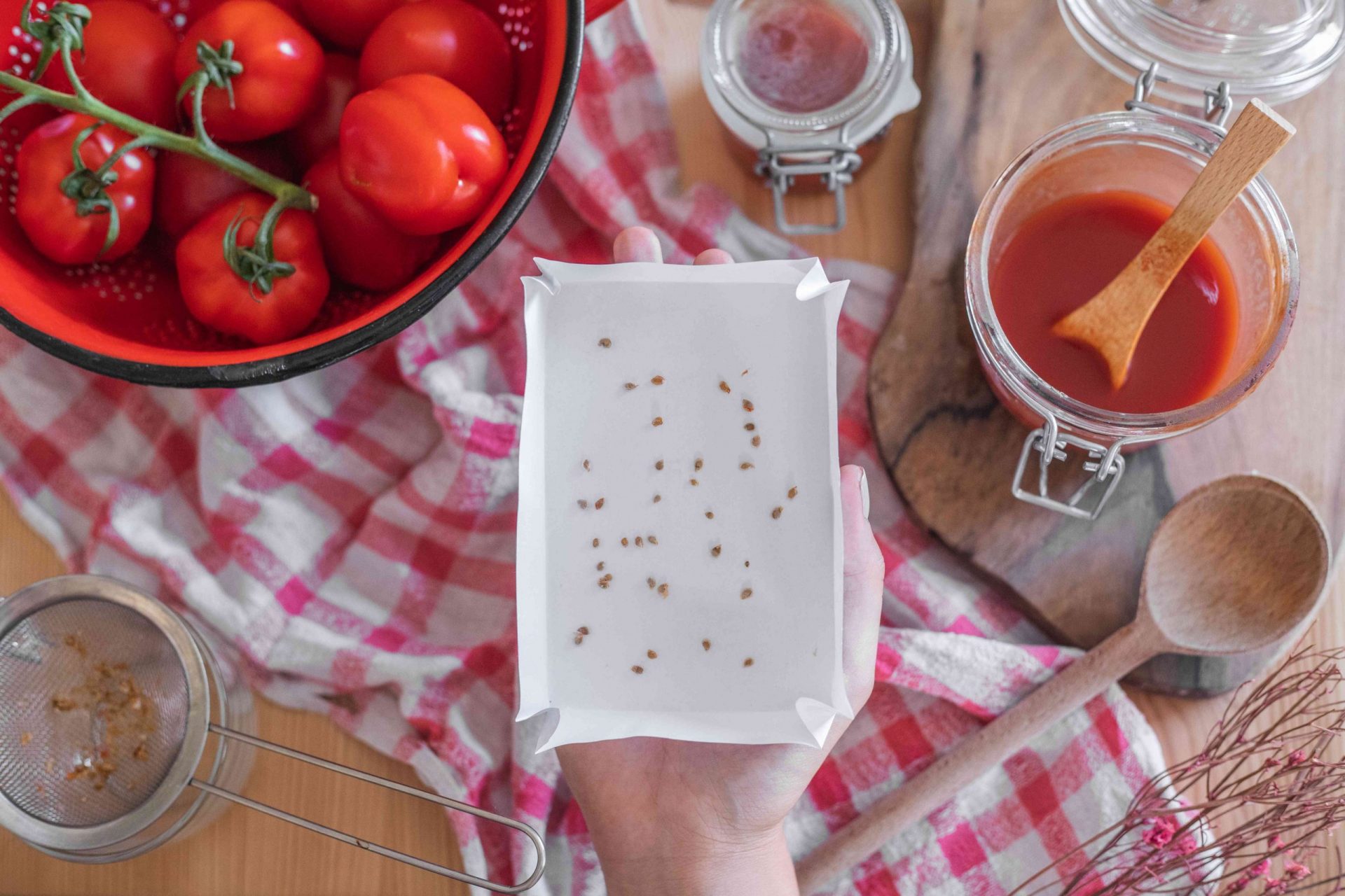 una mano abierta sostiene semillas de tomate seco rodeadas de tomates frescos y utensilios de cocina