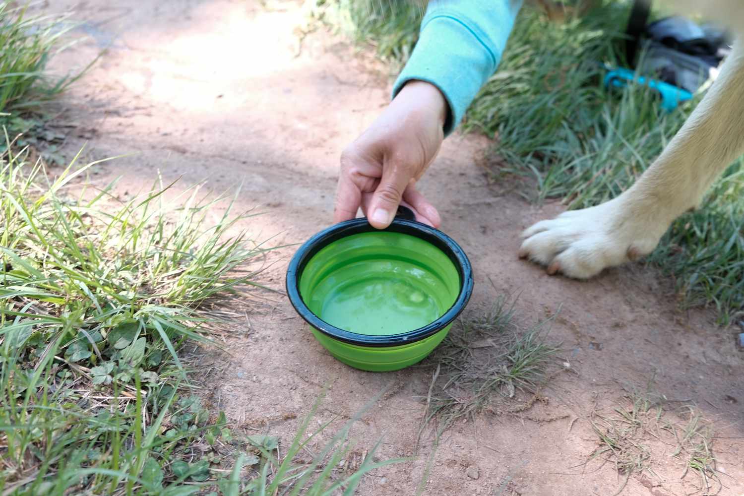 una mujer pone un cuenco plegable con agua en el suelo para que su perro beba