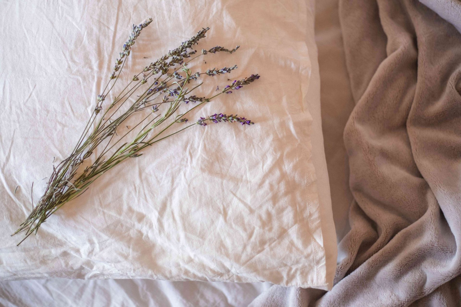 ramitas de flores de lavanda secas sobre una almohada blanca arrugada junto a las mantas de la cama arrugada