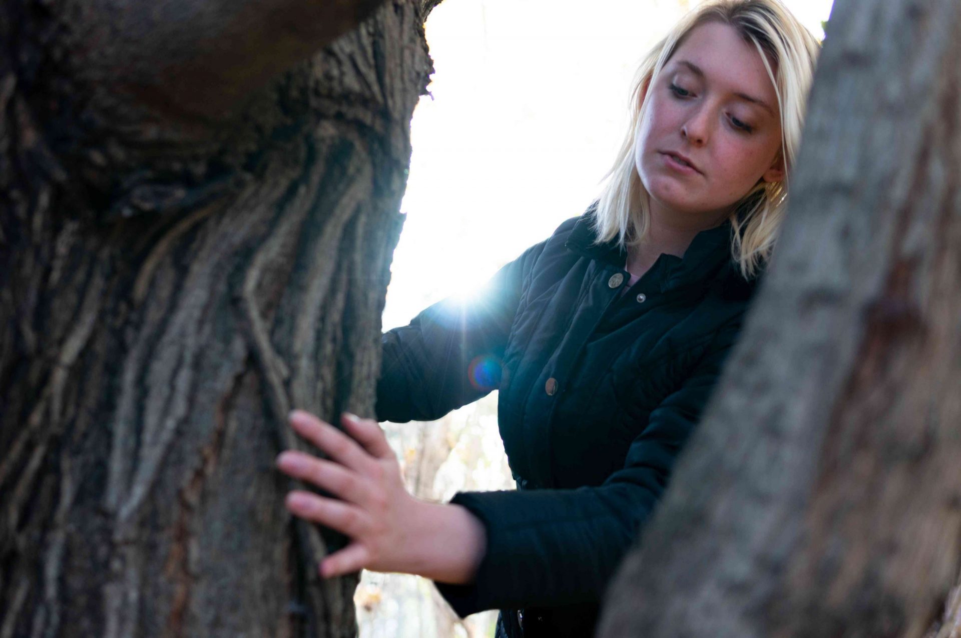 una mujer investiga los árboles del exterior en busca de arce