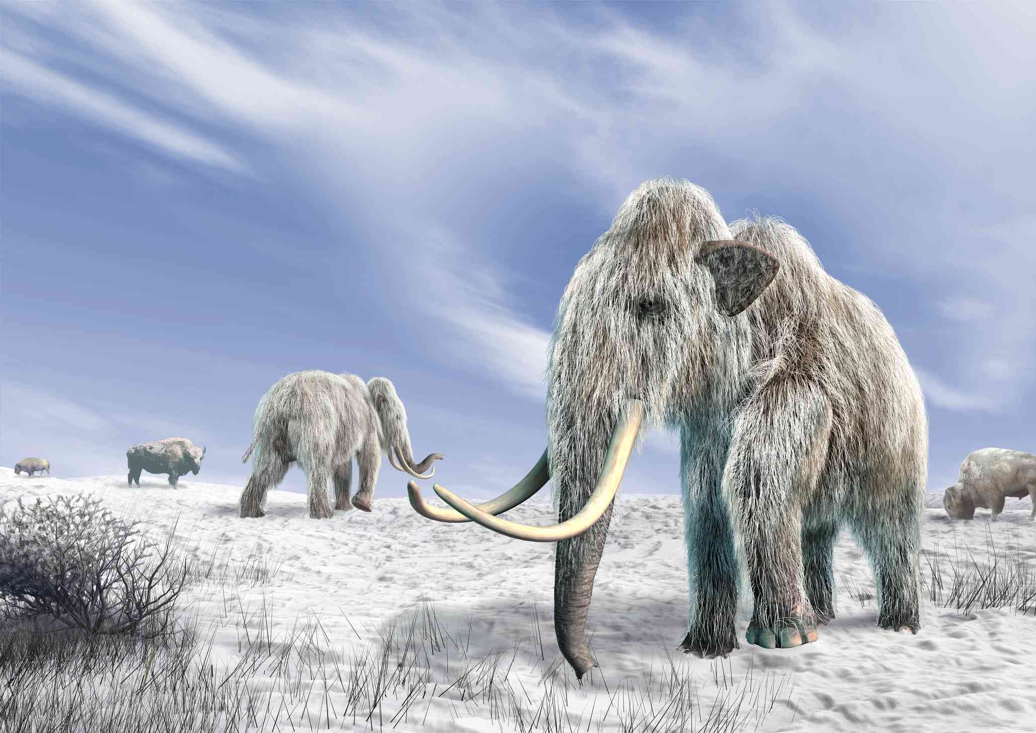 obra de arte de mamuts lanudos caminando por la nieve con largos colmillos y pelaje helado