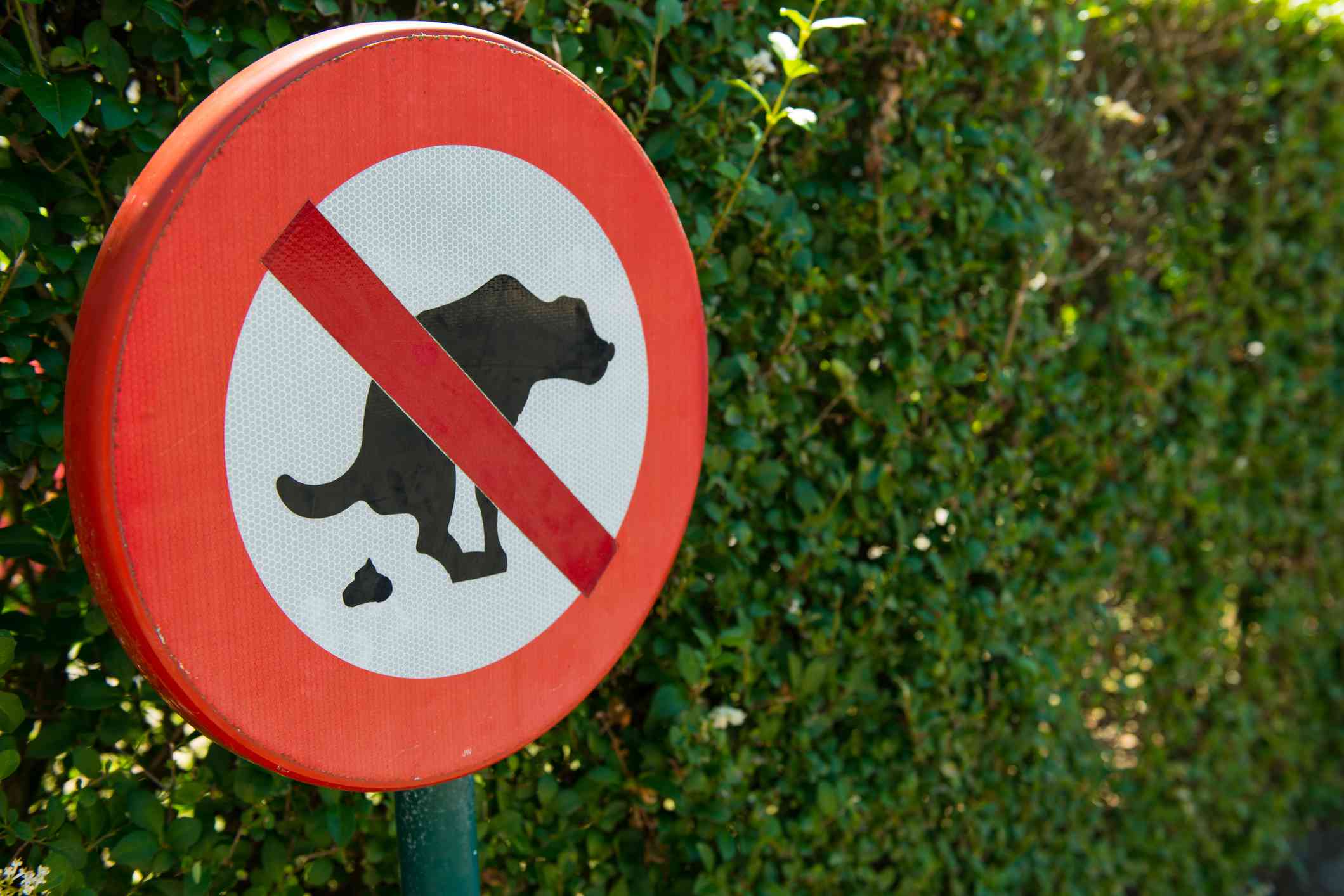 Cartel de prohibido hacer caca de perro en el parque