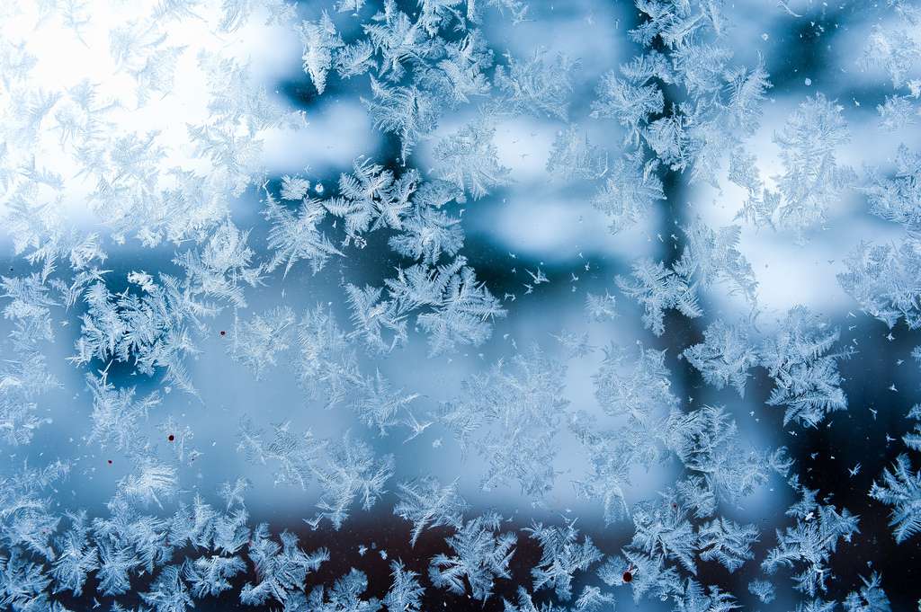 Copos de nieve sobre cristal